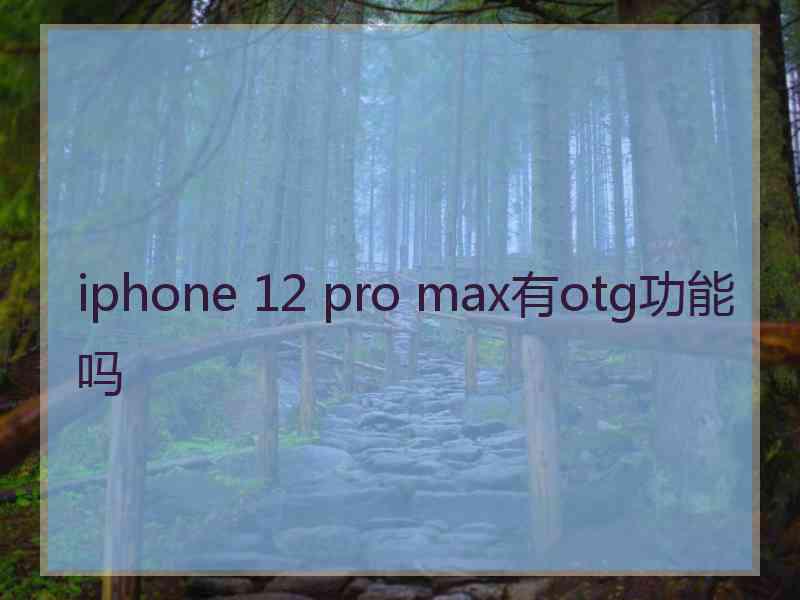 iphone 12 pro max有otg功能吗