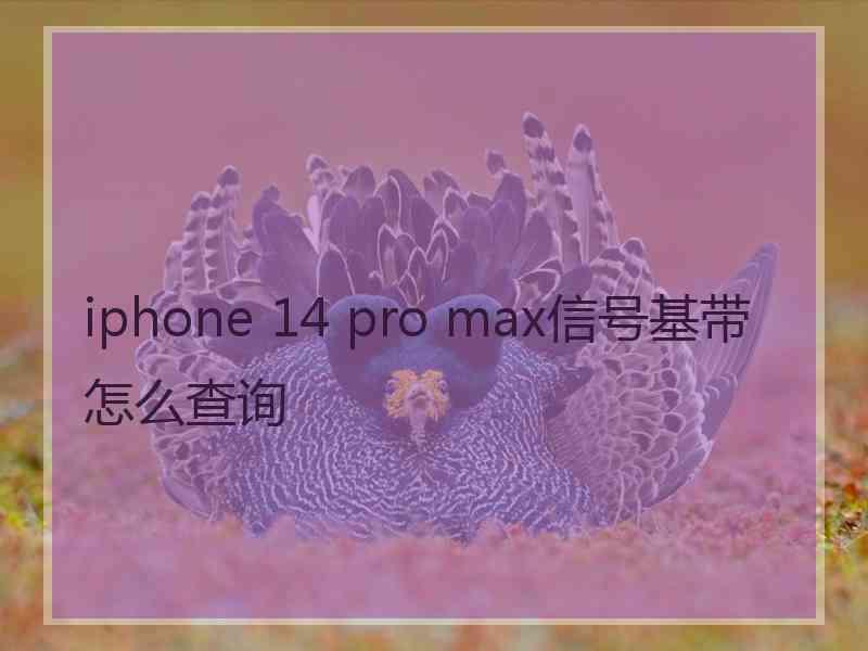 iphone 14 pro max信号基带怎么查询