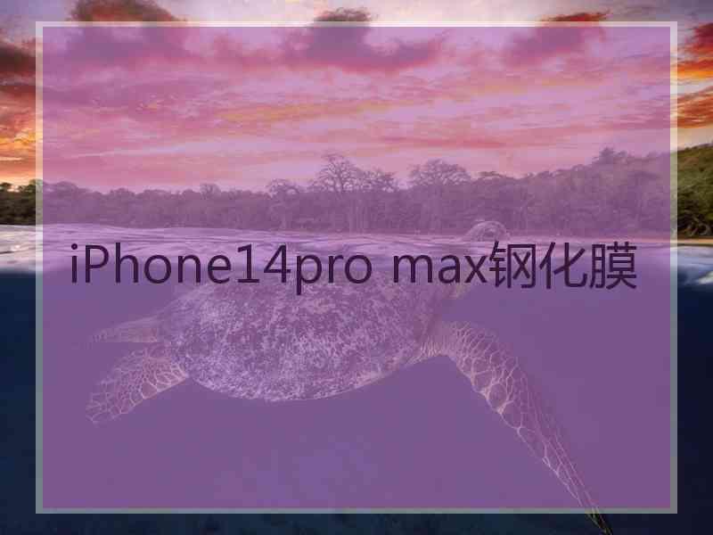 iPhone14pro max钢化膜