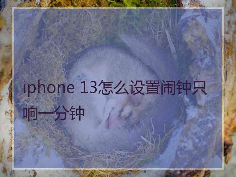 iphone 13怎么设置闹钟只响一分钟