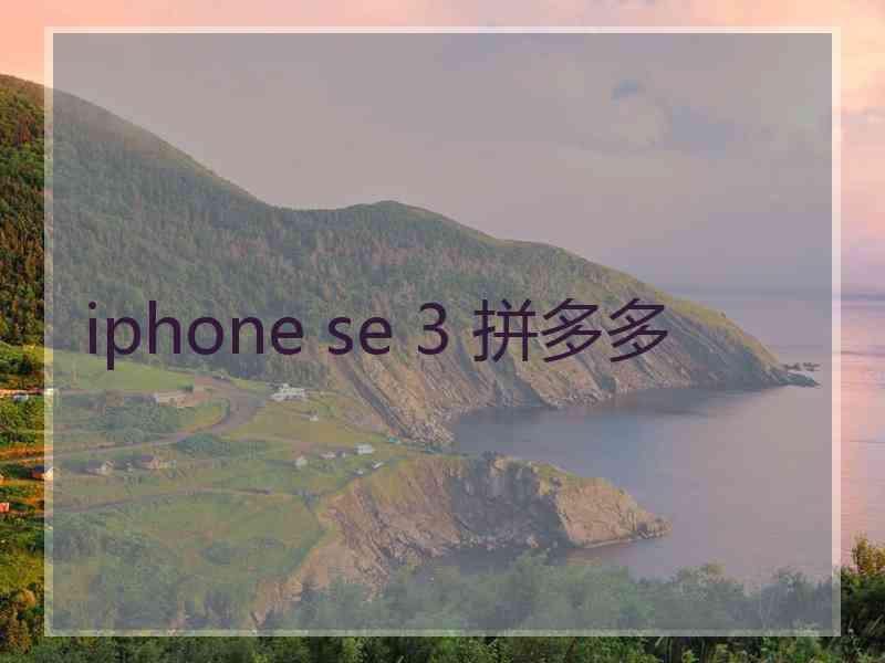 iphone se 3 拼多多