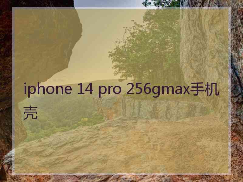 iphone 14 pro 256gmax手机壳