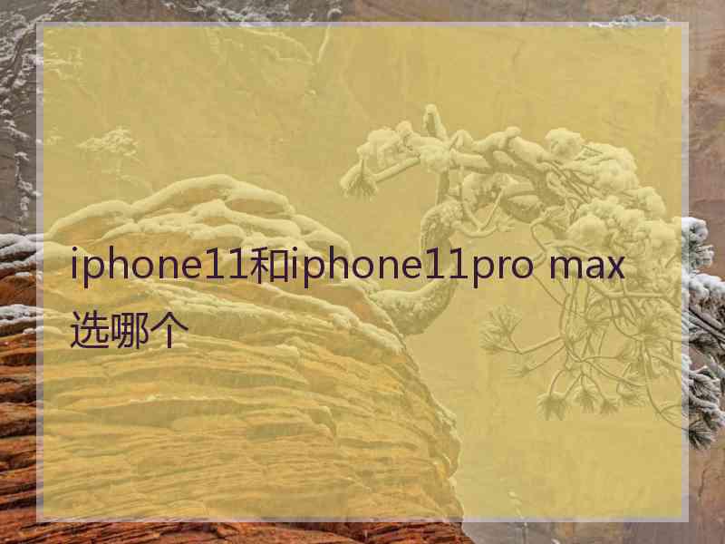 iphone11和iphone11pro max选哪个