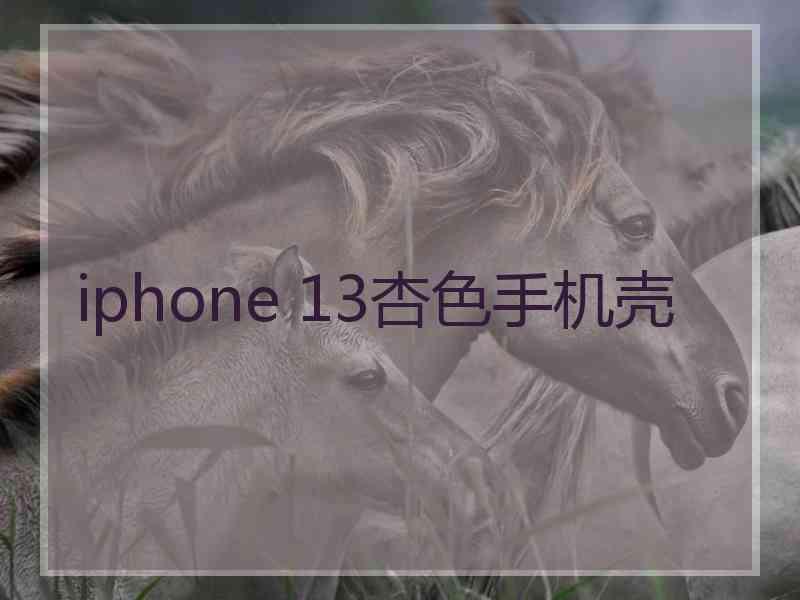 iphone 13杏色手机壳