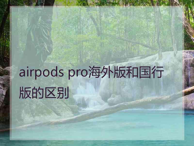 airpods pro海外版和国行版的区别