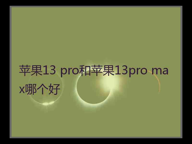 苹果13 pro和苹果13pro max哪个好