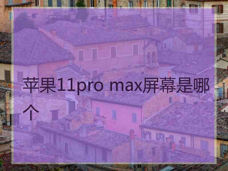 苹果11pro max屏幕是哪个