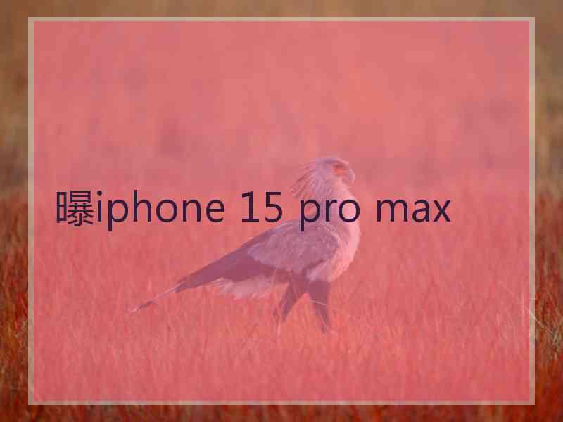 曝iphone 15 pro max