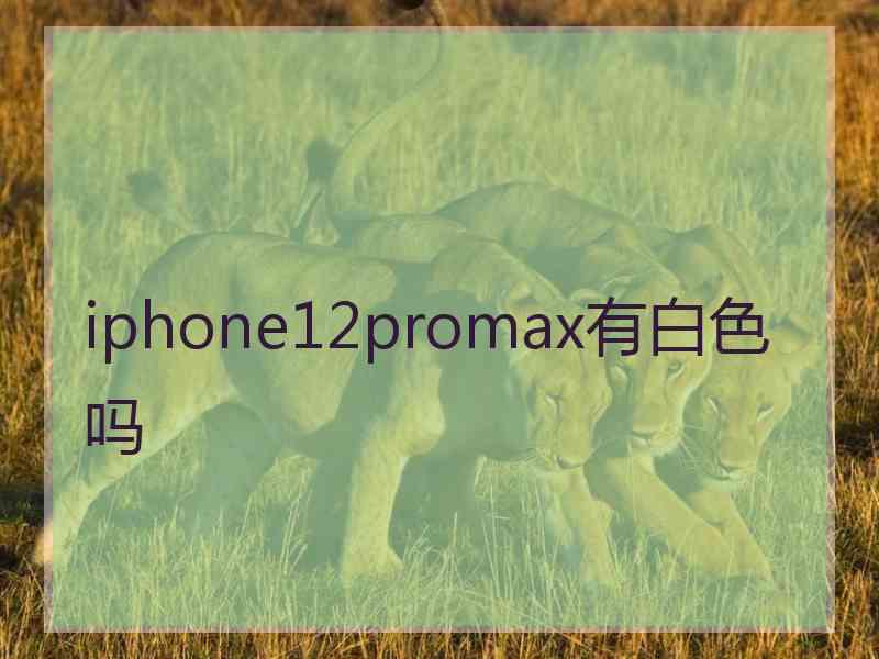 iphone12promax有白色吗