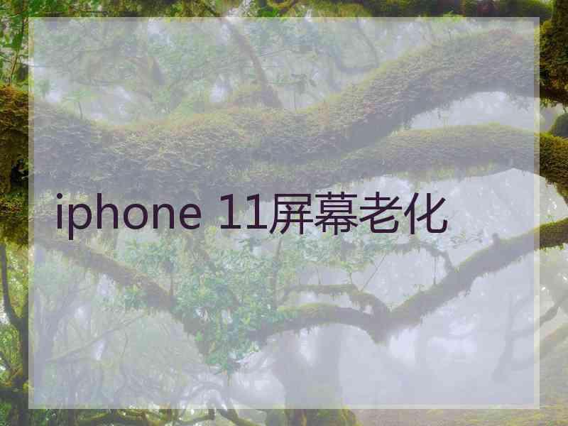 iphone 11屏幕老化