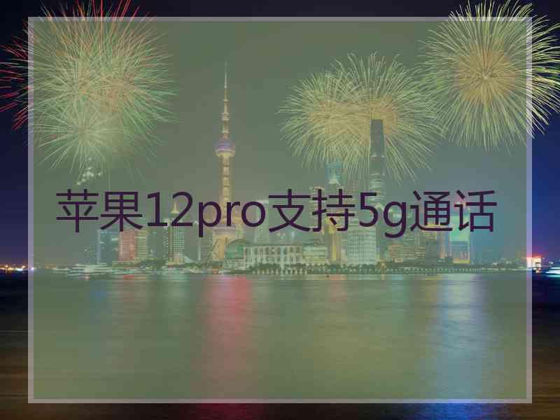 苹果12pro支持5g通话