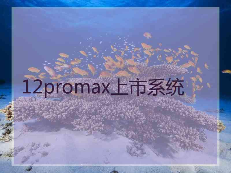 12promax上市系统