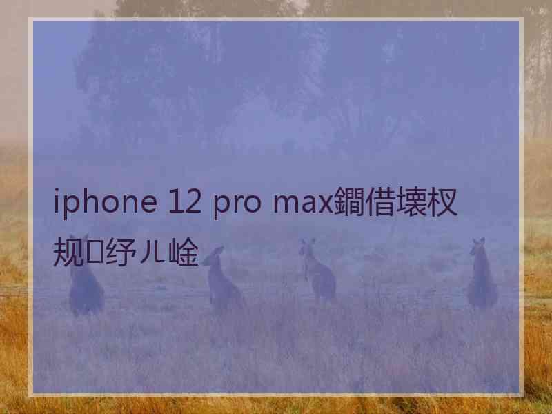 iphone 12 pro max鐧借壊杈规纾ㄦ崯