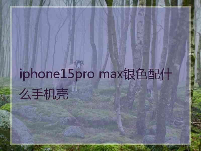 iphone15pro max银色配什么手机壳