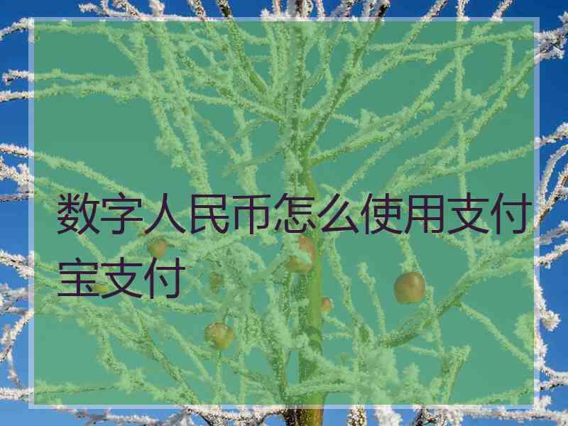 数字人民币怎么使用支付宝支付