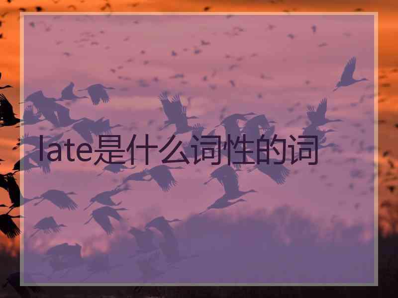 late是什么词性的词