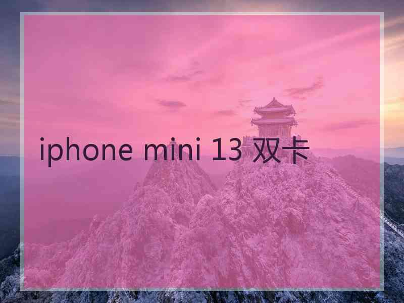 iphone mini 13 双卡