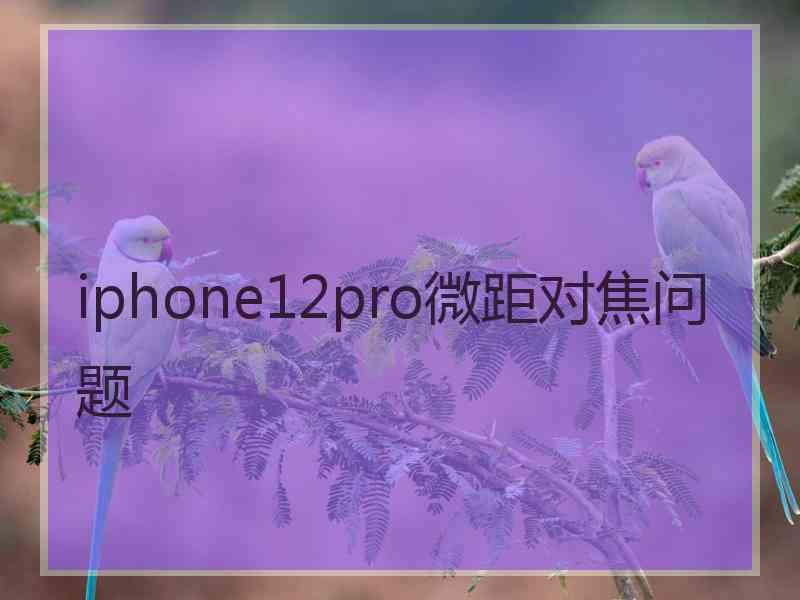 iphone12pro微距对焦问题