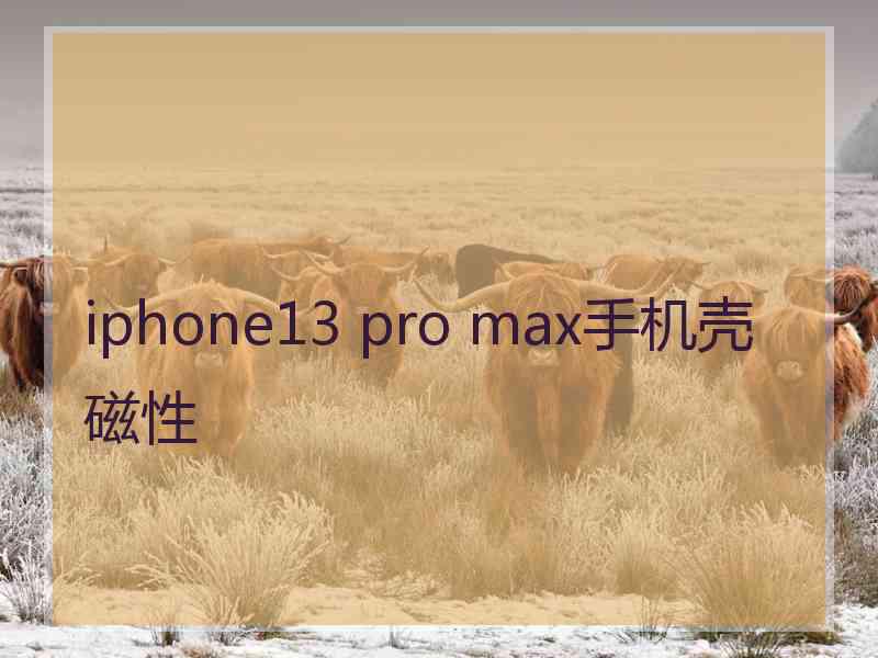 iphone13 pro max手机壳磁性