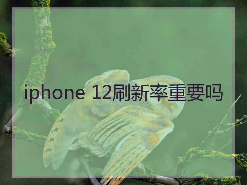 iphone 12刷新率重要吗