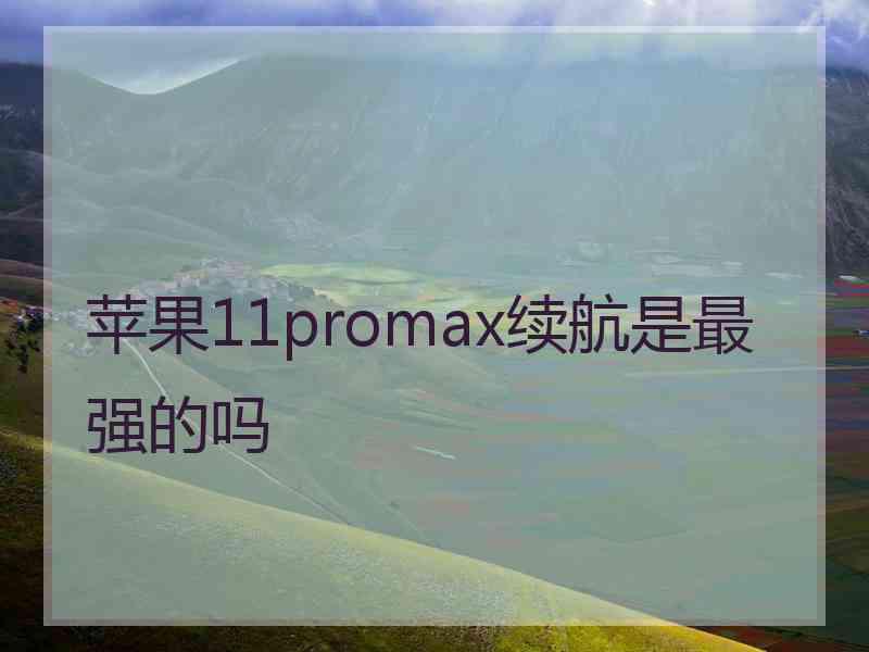 苹果11promax续航是最强的吗