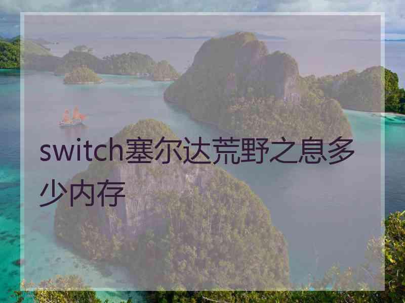 switch塞尔达荒野之息多少内存