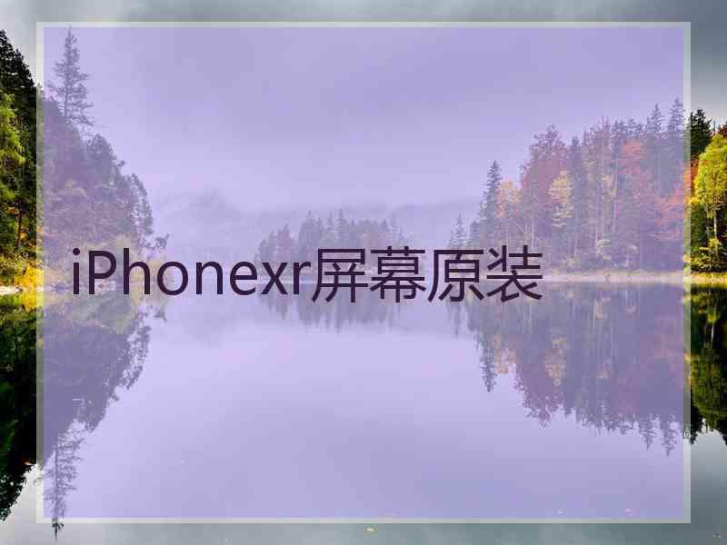 iPhonexr屏幕原装