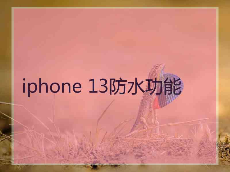 iphone 13防水功能