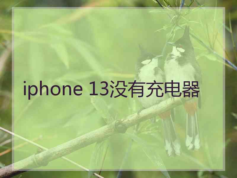 iphone 13没有充电器