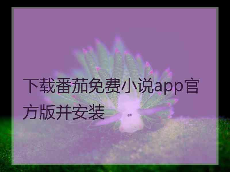 下载番茄免费小说app官方版并安装