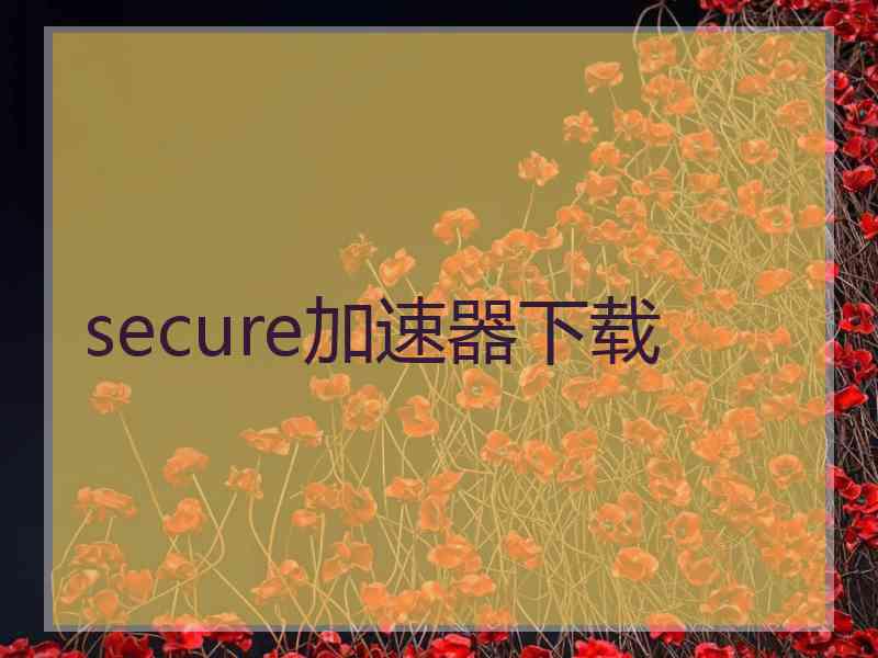 secure加速器下载