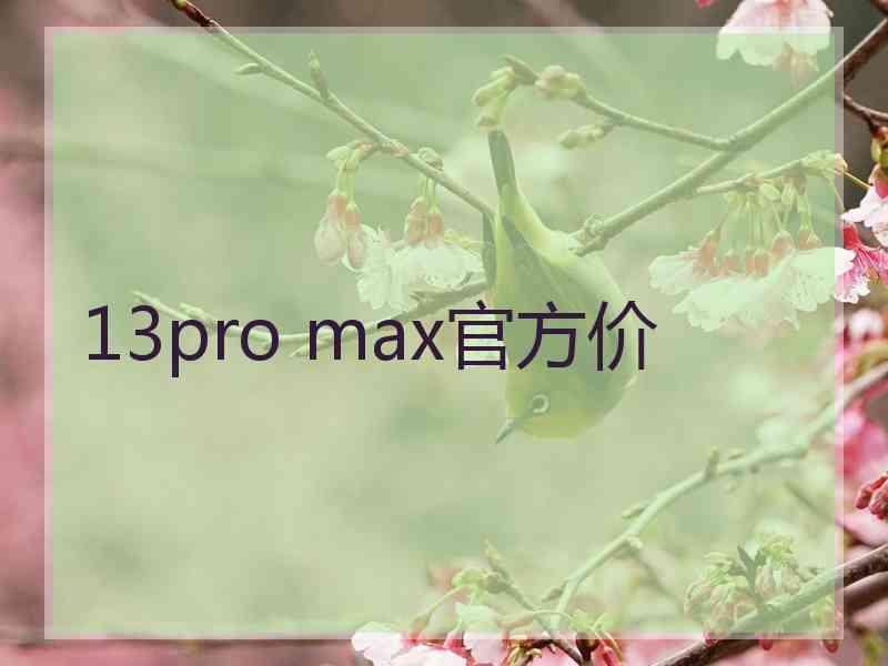 13pro max官方价