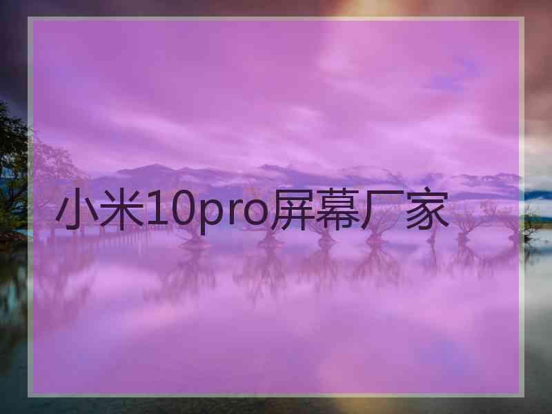 小米10pro屏幕厂家