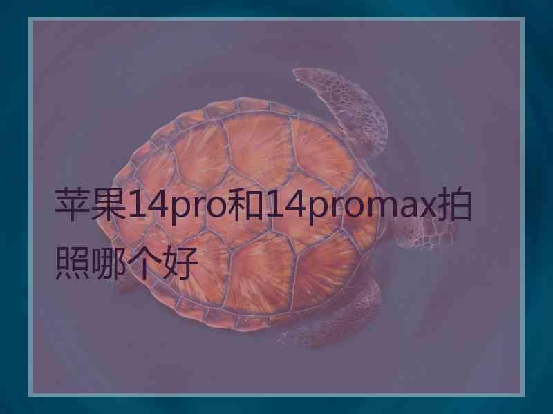 苹果14pro和14promax拍照哪个好