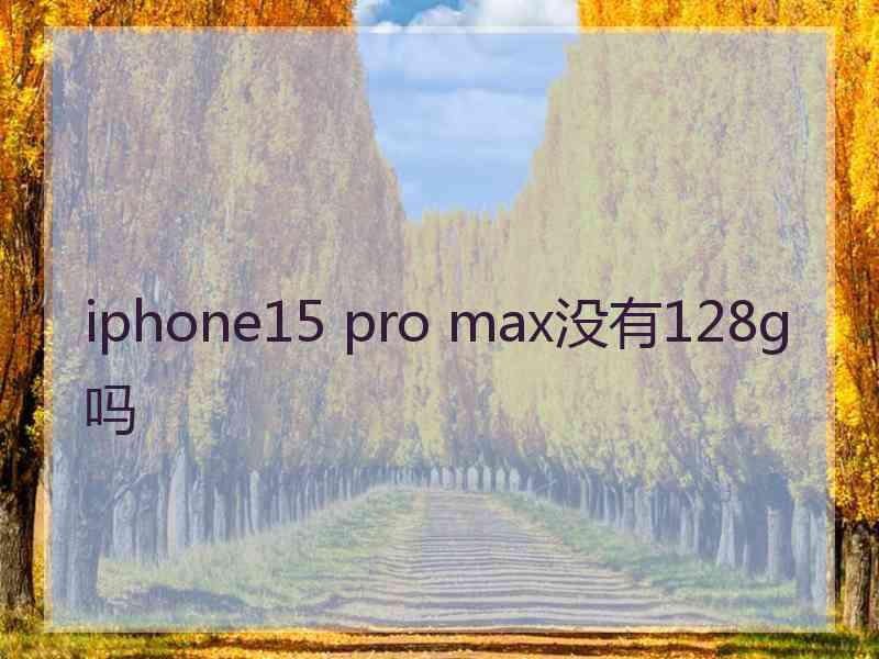 iphone15 pro max没有128g吗