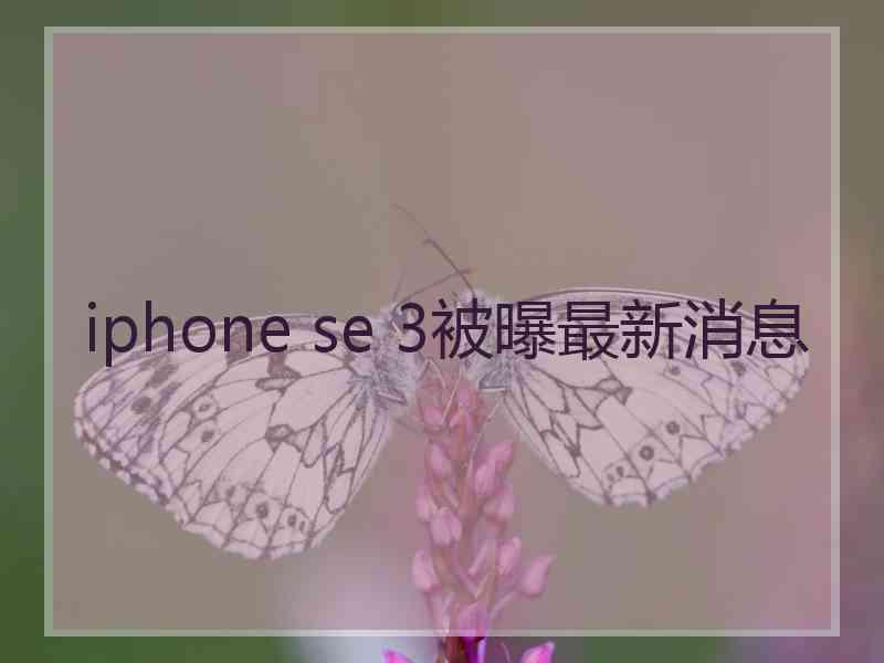 iphone se 3被曝最新消息