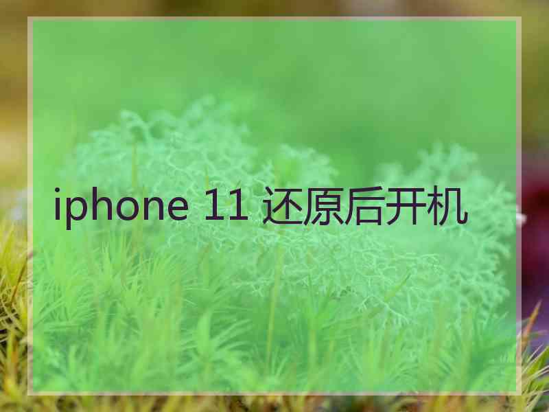 iphone 11 还原后开机