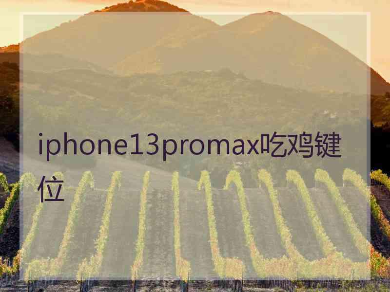 iphone13promax吃鸡键位