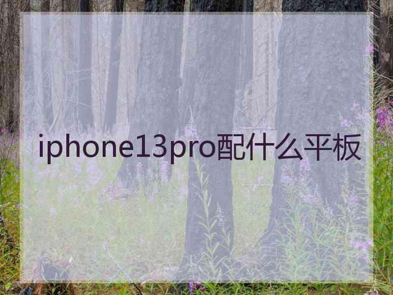 iphone13pro配什么平板