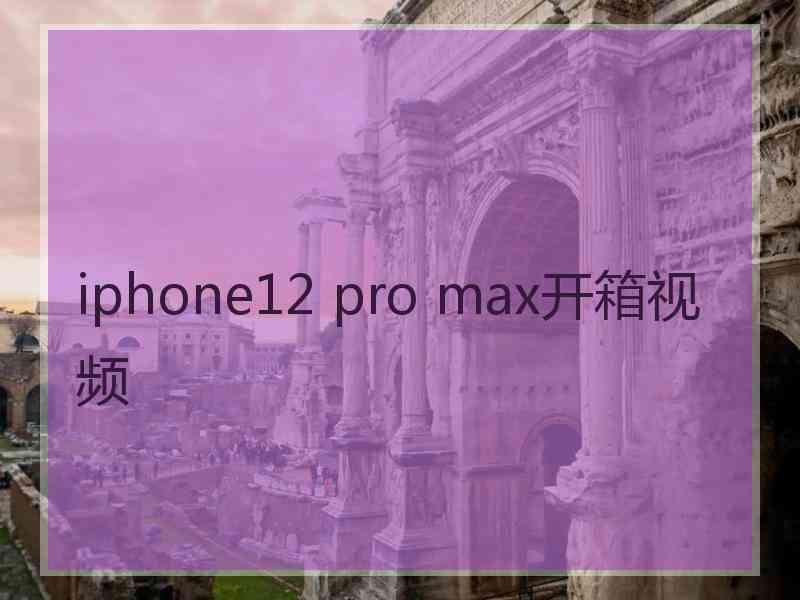 iphone12 pro max开箱视频