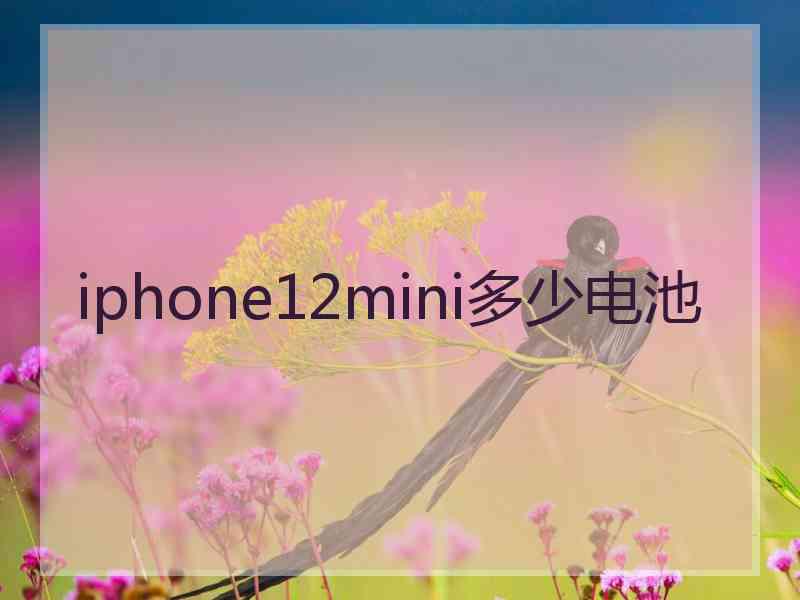 iphone12mini多少电池