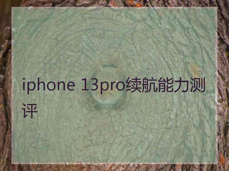 iphone 13pro续航能力测评