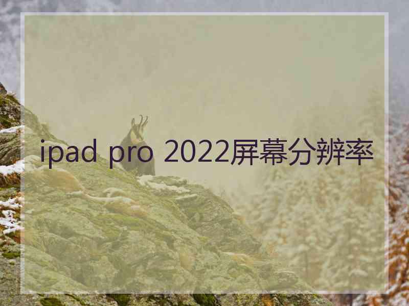 ipad pro 2022屏幕分辨率