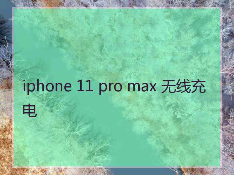 iphone 11 pro max 无线充电