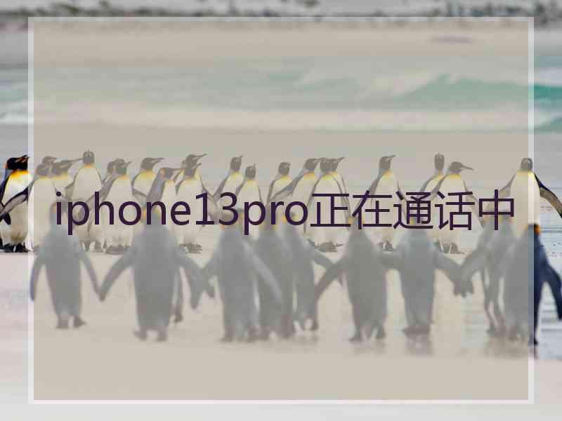 iphone13pro正在通话中