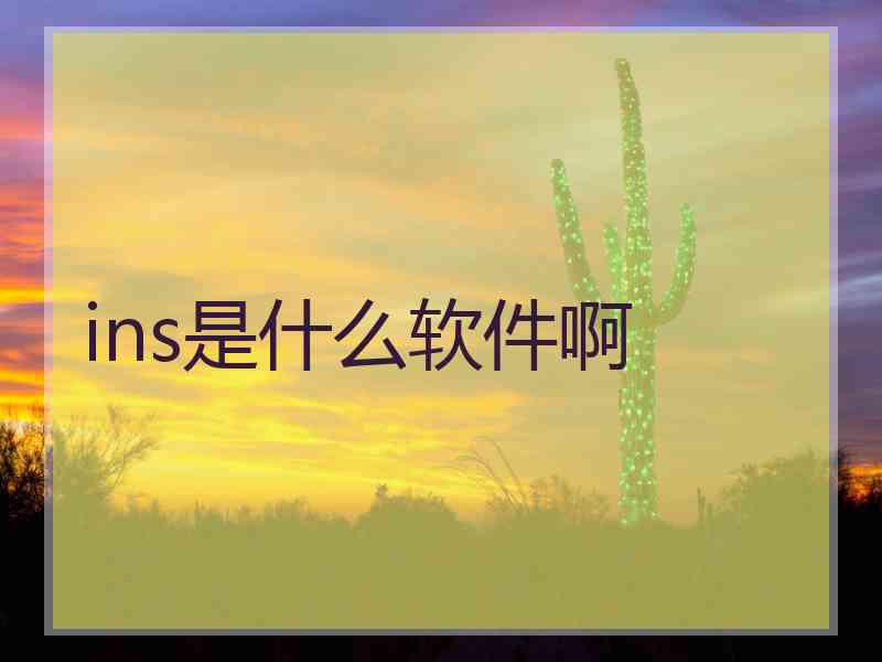 ins是什么软件啊