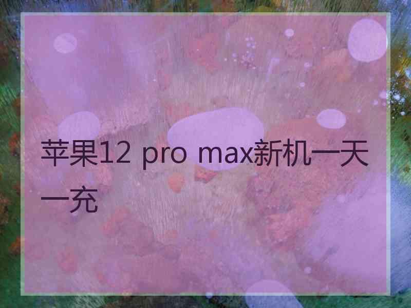 苹果12 pro max新机一天一充