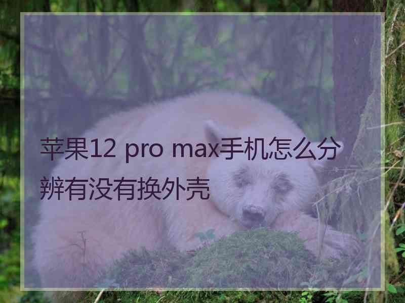 苹果12 pro max手机怎么分辨有没有换外壳