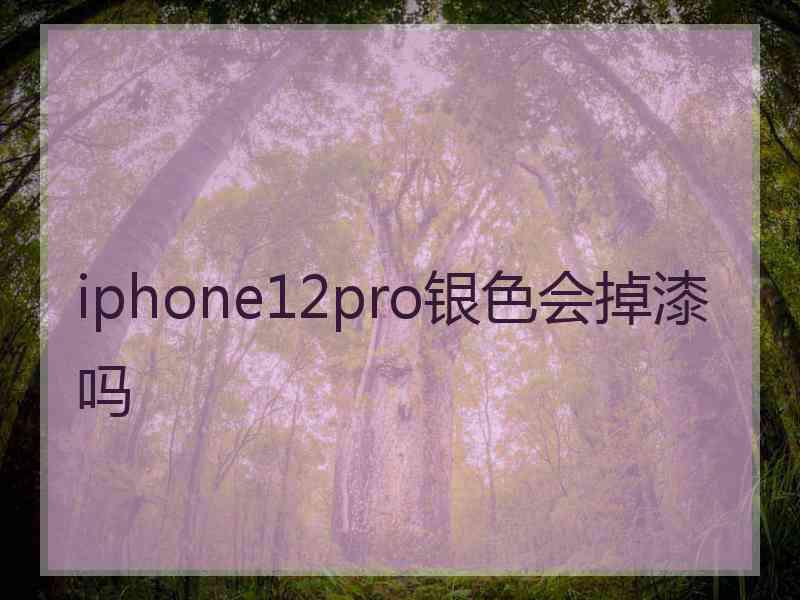 iphone12pro银色会掉漆吗