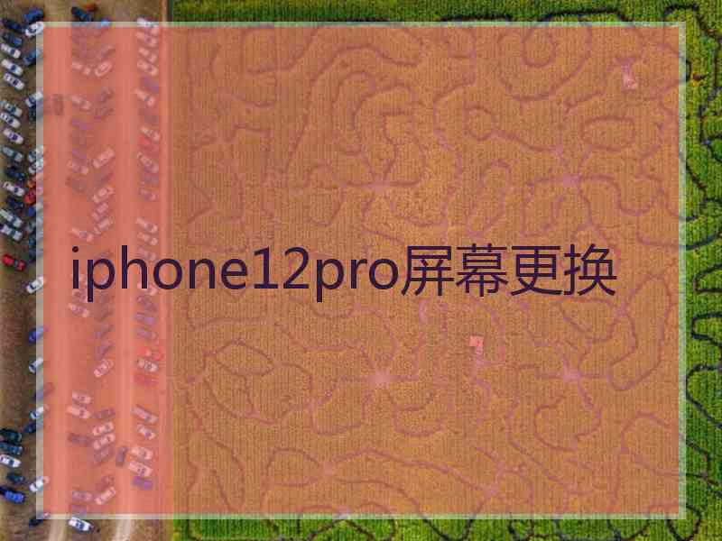 iphone12pro屏幕更换